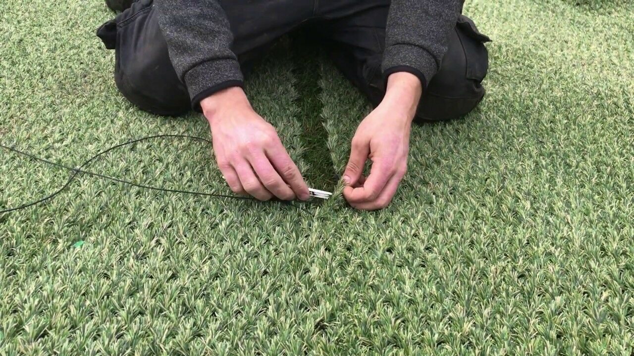 Applied fields. Гибридная трава Green Hybrid. Гибридная трава с газоном. Трава полотно. SISGRASS гибридное покрытие.